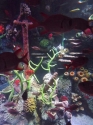 coral-encrusted-anchor
