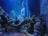 Submerged temple and corals