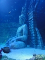 Submerged temple