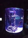 replica-anchor-chain-in-cylinder