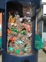 Just some of our huge range of corals