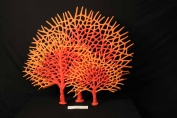 Fan Artificial Coral made by ATL