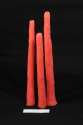 Pipe Corals