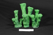 ATL Flute Artificial Coral