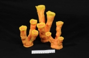 Flute artificial coral, hand made by ATL to accurately replicate natural coral reef system. Beautiful synthetic coral to provide dramatic habitats.