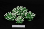 Acropora coral - Artificial Corals