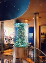 Restaurant aquarium display