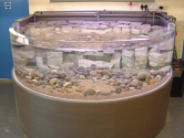 Stand alone foyer aquarium display