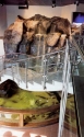 Spectacular foyer aquarium display with waterfall