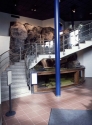 Spectacular foyer aquarium display with waterfall