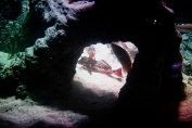 Rock arch detail