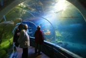 Drop sided tunnel in Sea Life Berlin