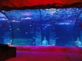 Ocean candy cane view , curved panels