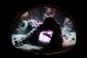 semi hemisphere view