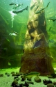 Deep lake display