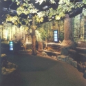 Forest stream display