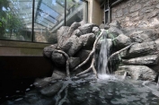 Native river waterfall display