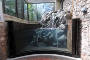Native river waterfall display