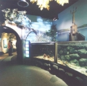 Reservoir display
