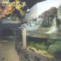 Upland stream display