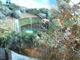 Upland stream display