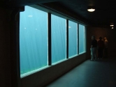 Deep water glazing panels