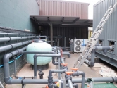 Exterior plant area