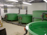 Quarantine unit