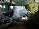 Themed otter display