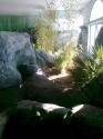 Themed otter display