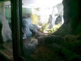 Glazed otter display