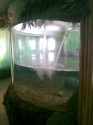 Otter display with waterfall