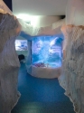 Ice habitat marine display