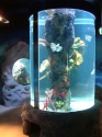 Marine cylinder display