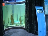 Marine harbour display with deep acrylic view