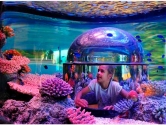 Marine display with an immersive experience