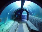 Hybrid ocean tunnel