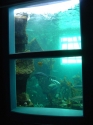 Deep ocean glazed view