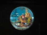 Ocean reef hemisphere view