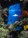 Ocean reef view