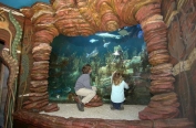 Ocean tank view