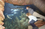 Ocean tank view