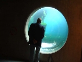 Ocean hemisphere view