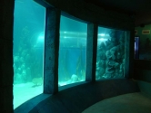 Mullioned ocean window view