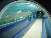Stepped ocean tunnel