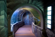Tall ocean tunnel