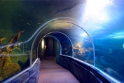 Tall ocean tunnel