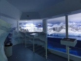 Penguin pool combination surface and immersed glazing