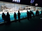 Acrylic viewing penguin exhibit