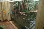 Crocodile swamp security glazing